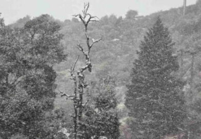 बारिश-बर्फबारी से लौटी ठंड, छह डिग्री गिरा पारा, देहरादून, टिहरी-उत्तरकाशी में कल स्कूल बंद