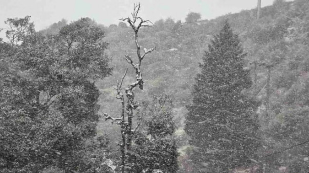 बारिश-बर्फबारी से लौटी ठंड, छह डिग्री गिरा पारा, देहरादून, टिहरी-उत्तरकाशी में कल स्कूल बंद